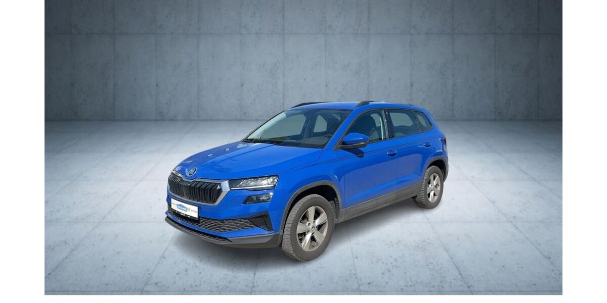 Skoda Karoq 130.250 km 19.750 &euro; Soltau 29614