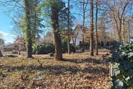 Grundstück Machern - 185.000&euro; | Angebot:25319614