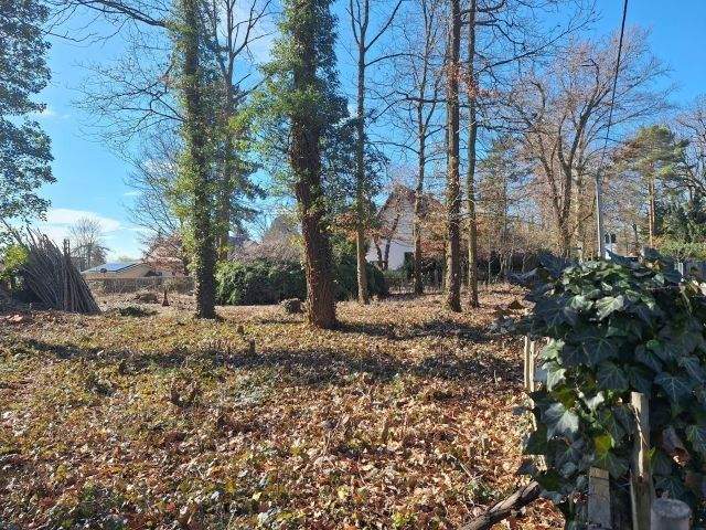 Grundstück Machern - 185.000&euro; | Angebot:25319614