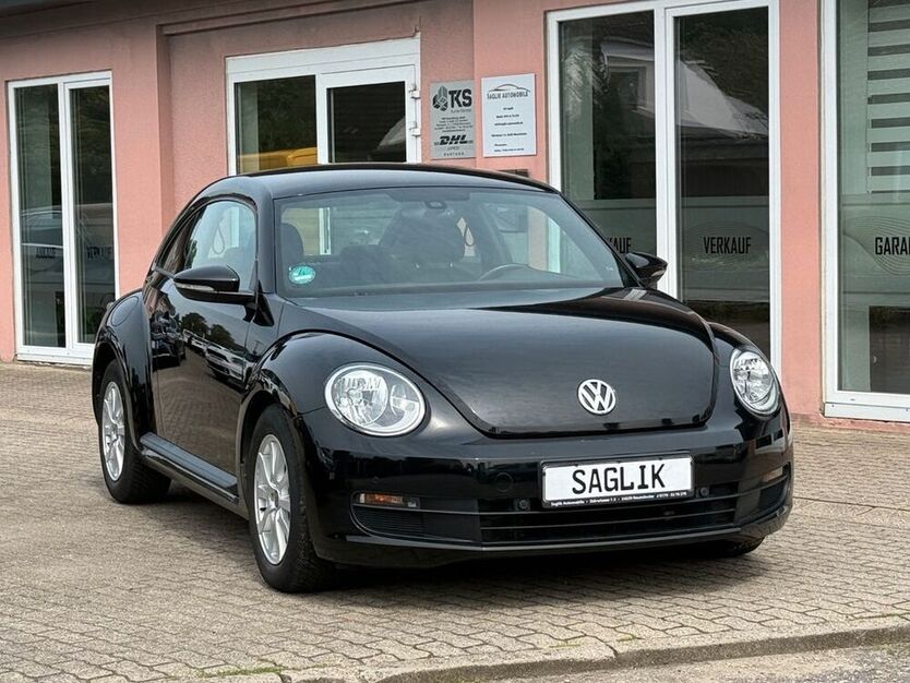 Beetle