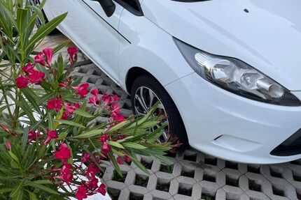 Ford Fiesta 172.000 km 3.250 € Hennef 53773