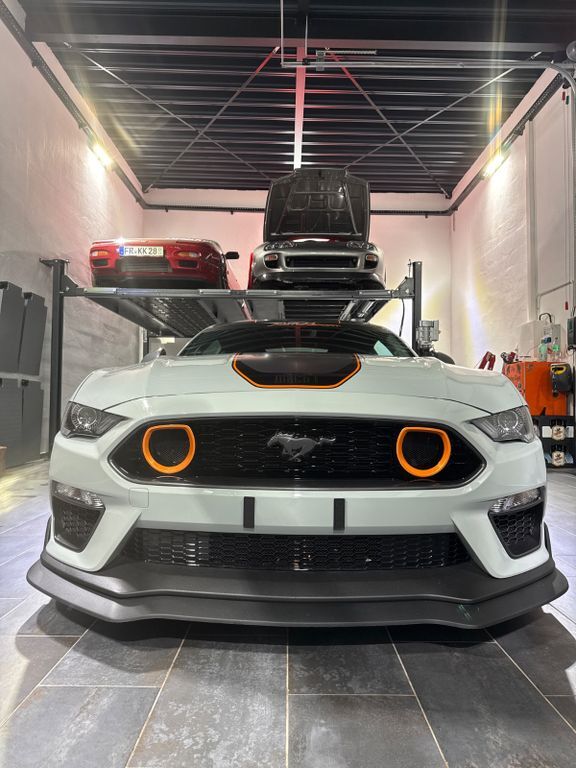 Mustang