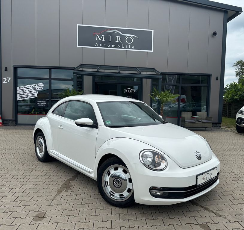 Beetle