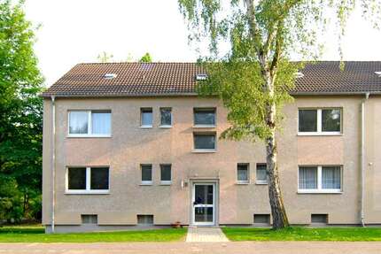 Wohnung zum Mieten in Recklinghausen 246,12 € 51.28 m²
