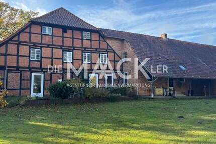 Haus Dannenberg (Elbe) - 10 Zimmer, 460 m&sup2;, 2.500&euro; | Angebot:24717405