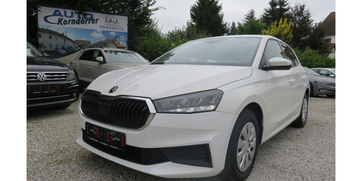 Skoda Fabia 89.300 km 15.650 &euro; Prießnitz 04654