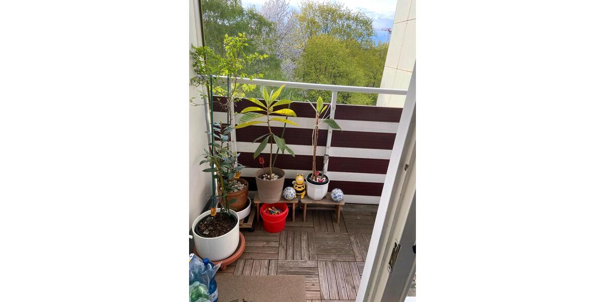 Etagenwohnung Aach - 2 Zimmer, 53 m&sup2;, 850&euro; | Angebot:26608689