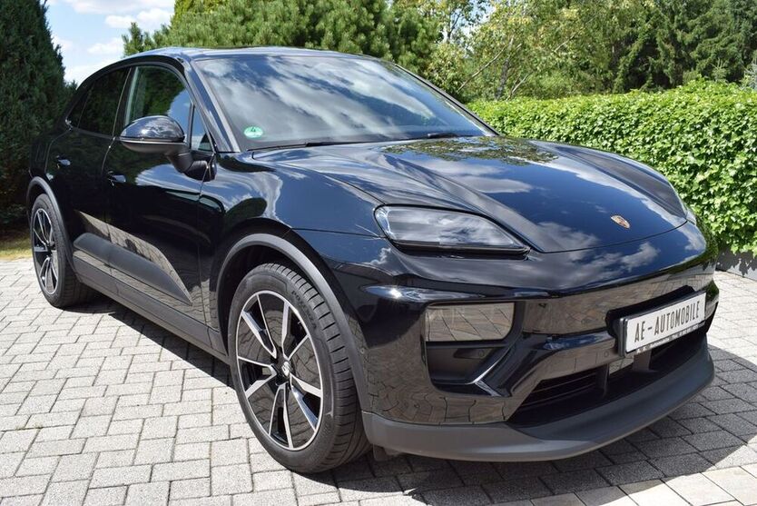 Macan