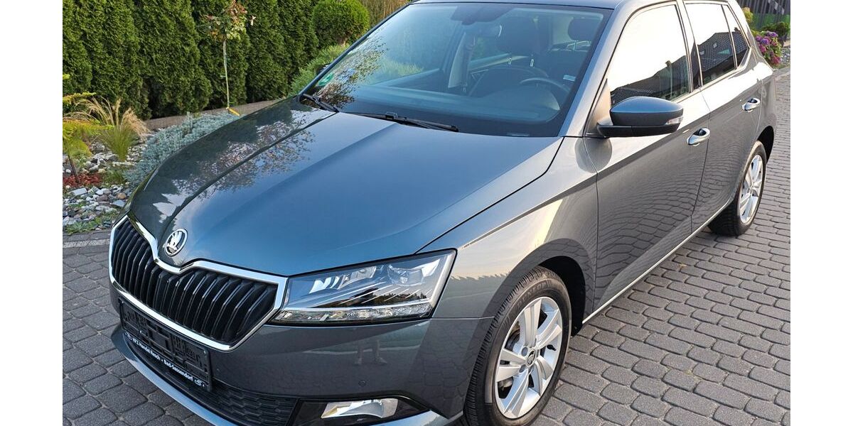 Skoda Fabia 66.200 km 12.960 € Bad-Sassendorf 59505