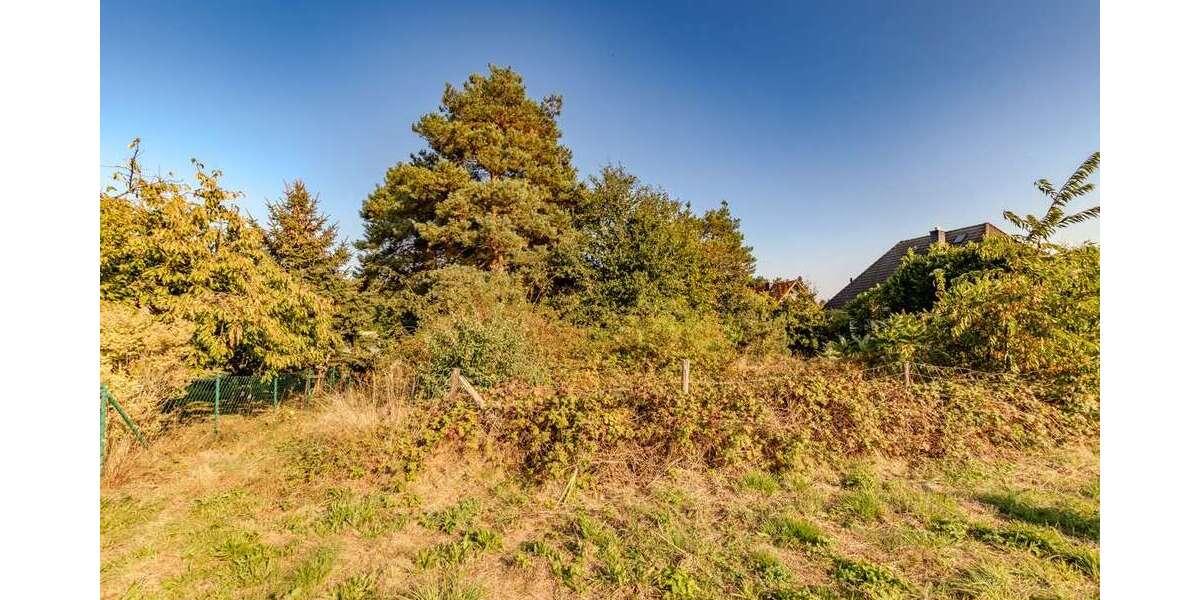 Grundstück zu verkaufen in Bergen (Dumme) 46.500 € 1095 m² zimmer