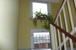 Etagenwohnung Löbau - 2 Zimmer, 50 m&sup2;, 290&euro; | Angebot:26662732