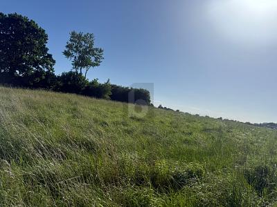 SONNIG, RUHIG & NATURNAH MIT AUSBLICK - Grundstück Riepsdorf | Angebot:27233869