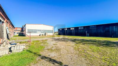 HALLENKOMPLEX MIT FREIFLÄCHEN UND WIESE - Gewerbeobjekt Ilsede | Angebot:27337556