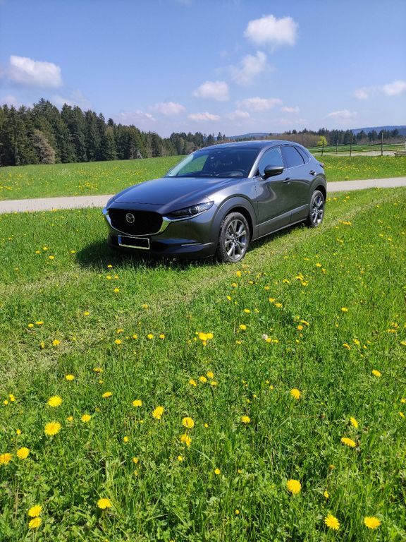 CX-30