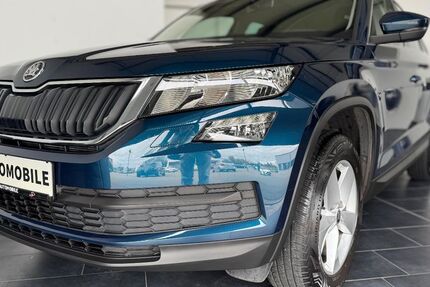 Skoda Kodiaq 133.329 km 19.690 &euro; Villingen-Schwenningen 78052