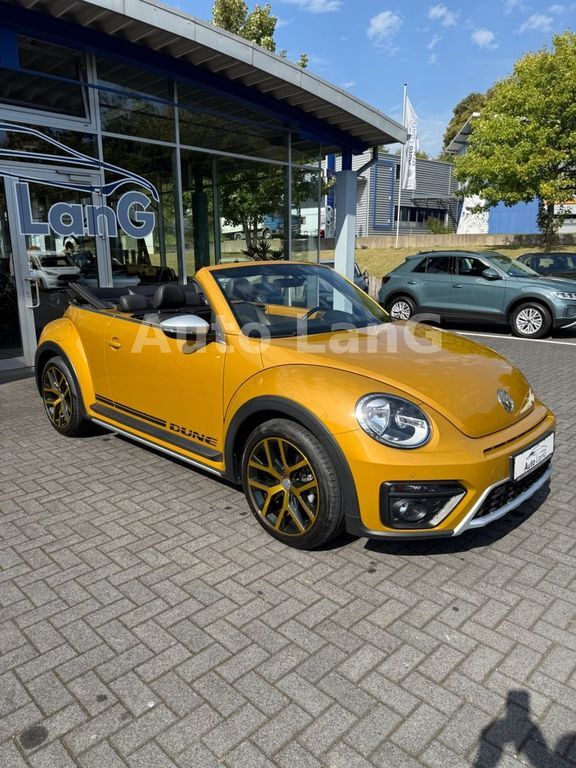Beetle
