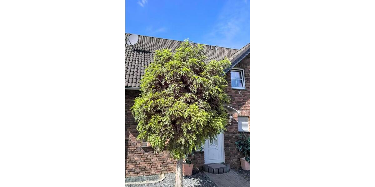 Doppelhaushälfte Zülpich - 5 Zimmer, 150 m&sup2;, 449.000&euro; | Angebot:26345249