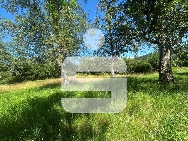Grundstück Waldkirchen - 150.000&euro; | Angebot:25853108