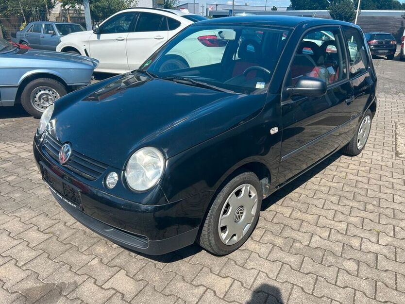 Lupo