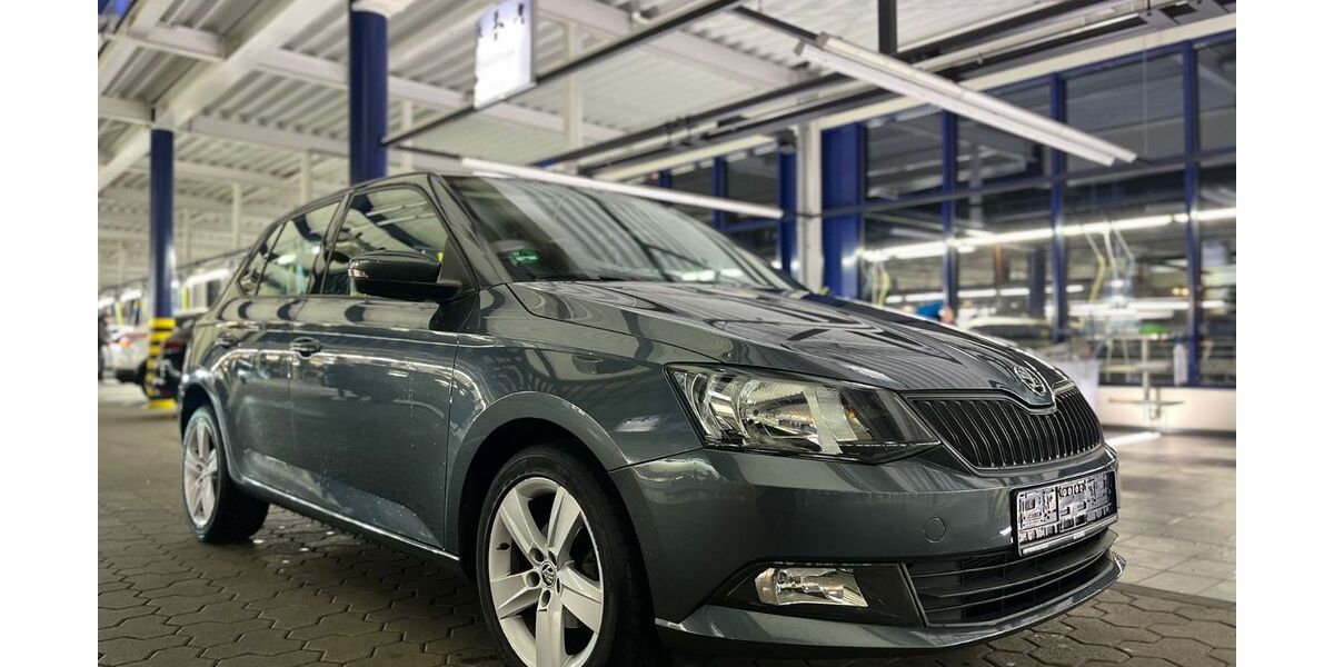 Skoda Fabia 100.000 km 7.999 &euro; Brühl (Nähe Köln) 50321
