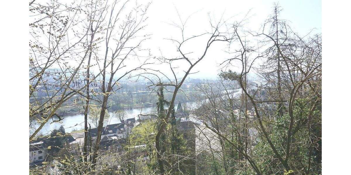 Wohnen mit Stil in Trier-Pallien: Teilmöbliertes Haus mit Kamin & traumhaftem Moselblick- perfekt für Luxemburgpendler 2 zimmer