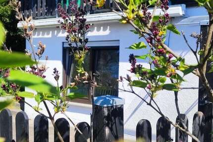 Wohnung Höchst - 3 Zimmer, 91 m&sup2;, 910&euro; | Angebot:26351139