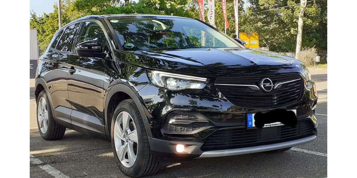 Opel Grandland X 102.000 km 14.500 &euro; frankenthal mörsch 67227