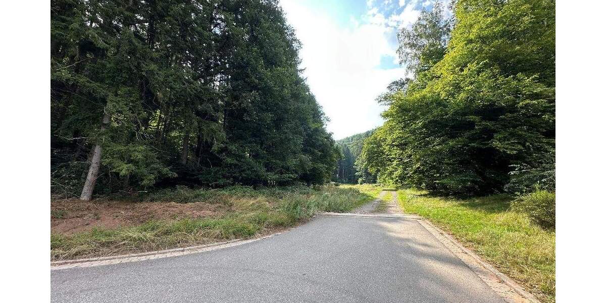 Grundstück Salzwoog Salzwoog - 39.000&euro; | Angebot:23977310