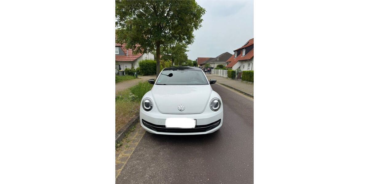 VW Beetle 114.549 km 11.900 &euro; Magdeburg 39116