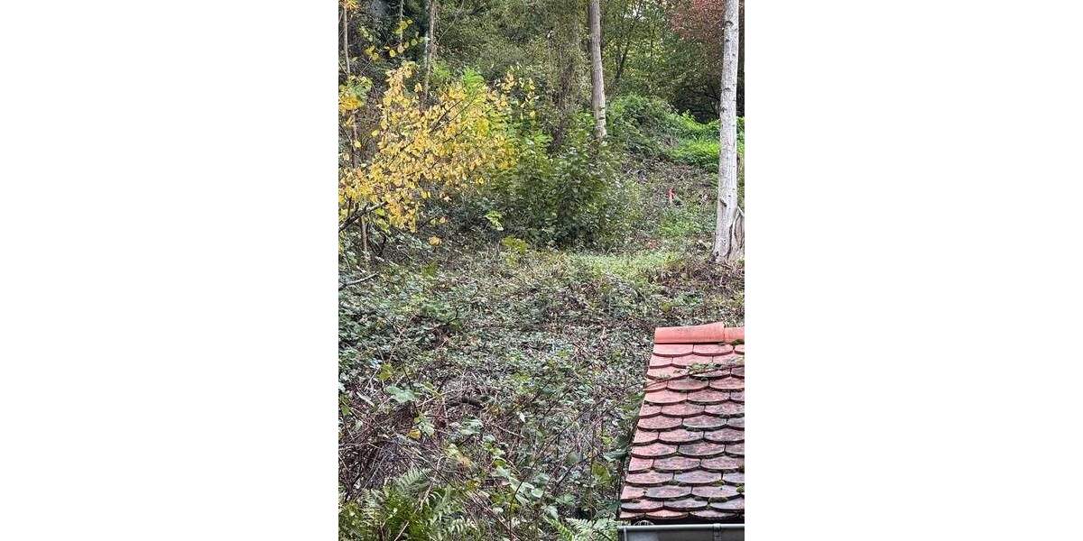 Grundstück Leinsweiler - 248.000&euro; | Angebot:25741634
