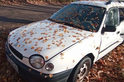 Toyota Corolla 245.000 km 1.600 &euro; rauen 15518