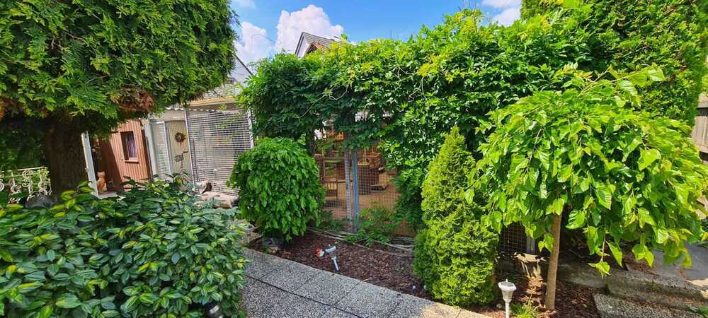 Einzigartige Gelegenheit: Etablierte Katzenpension mit 310 m² überdachtem Außenbereich und Bungalow - Gewerbeobjekt Rüsselsheim am Main | Angebot:24213461