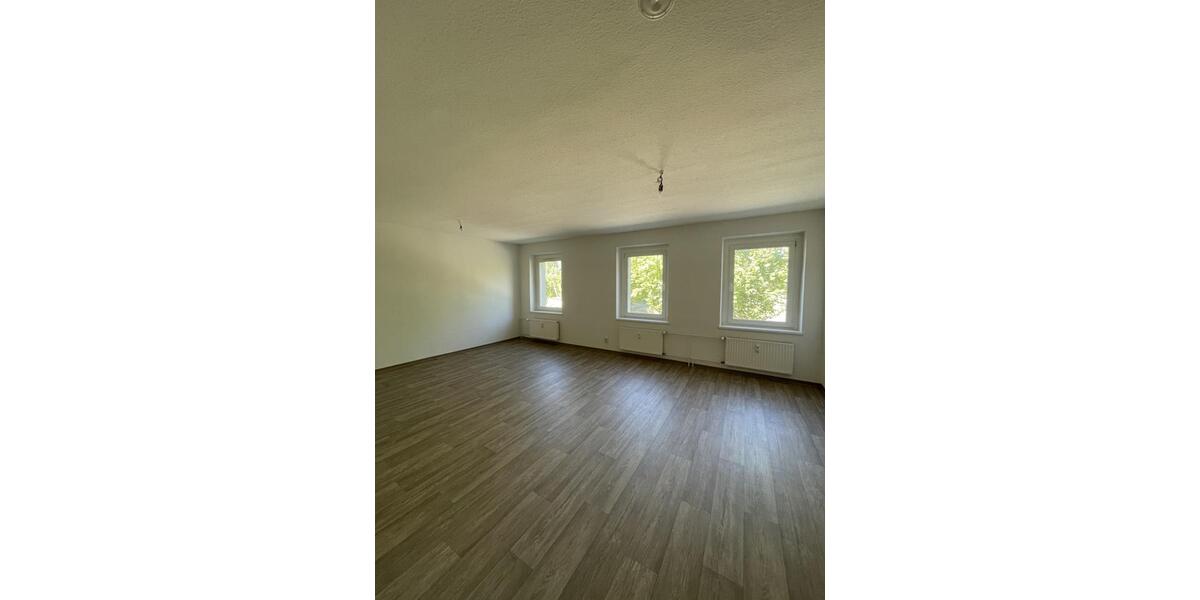 Etagenwohnung Elsteraue - 2 Zimmer, 64 m&sup2;, 425&euro; | Angebot:23726500