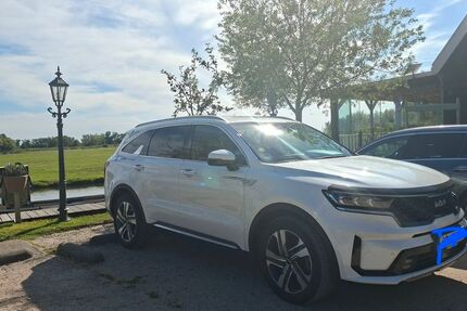 Kia Sorento 36.000 km 34.500 &euro; Gengenbach 77723