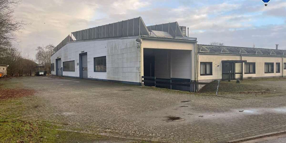 Halle in Rahden 319.900 € 2000 m² zimmer