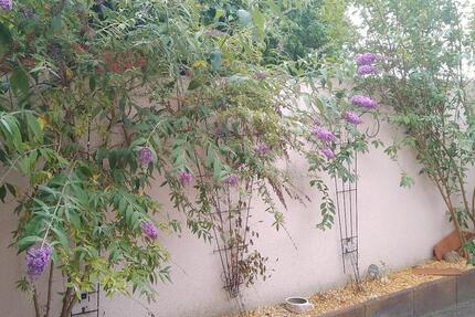 saniert schönes Haus Luckenwalde Garten EBK GERÄTE Kamin BERLIN 5 zimmer