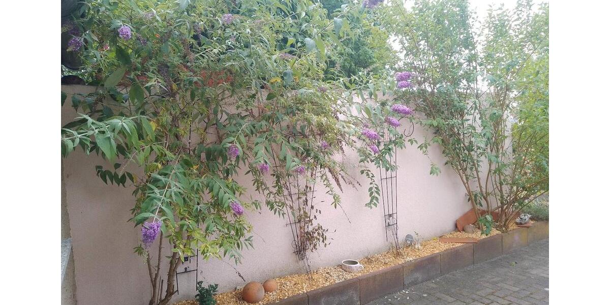 saniert schönes Haus Luckenwalde Garten EBK GERÄTE Kamin BERLIN 5 zimmer