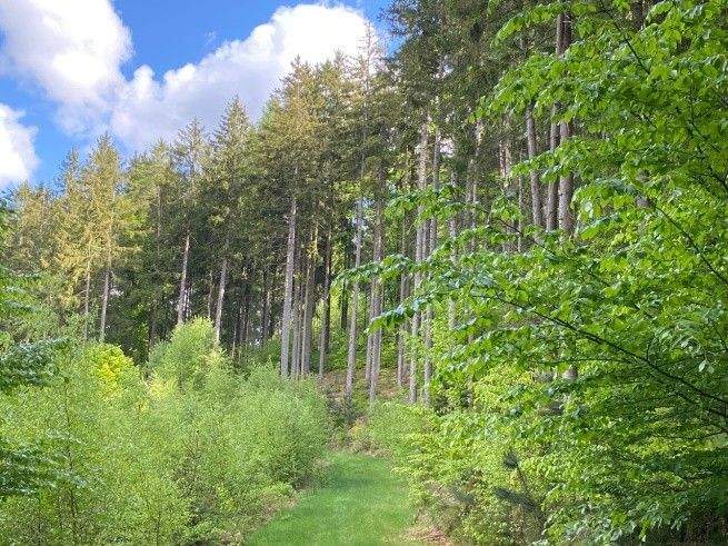 Grundstück Flossenbürg Altenhammer - 54.000&euro; | Angebot:25727289