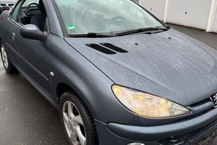 Peugeot 206 149.534 km 599 &euro; Henstedt-Ulzburg (bei Hamburg) 24558