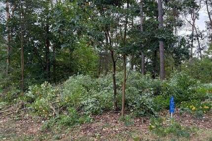 Grundstück Wandlitz OT Prenden Prenden - 165.000&euro; | Angebot:27655699