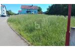 PROJEKTFLÄCHE IM NEUBAUGEBIET - Grundstück Dußlingen | Angebot:26757630