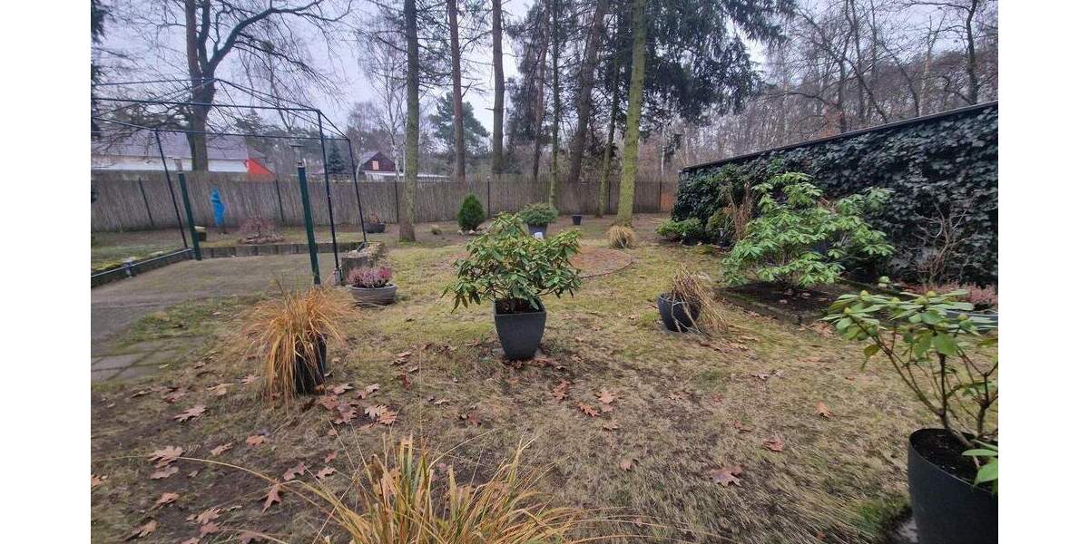 Grundstück Bad Düben Brösen - 15.000&euro; | Angebot:25611464