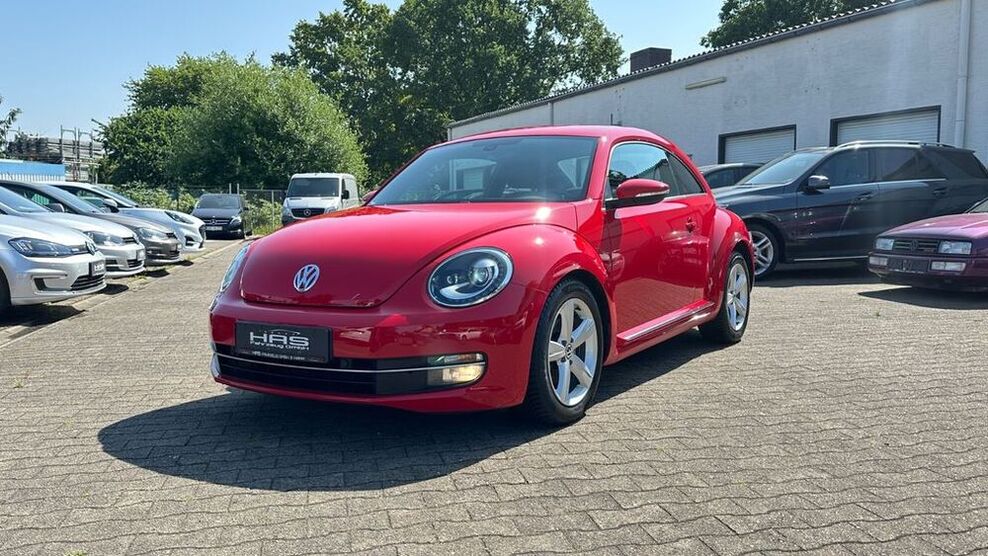 Beetle