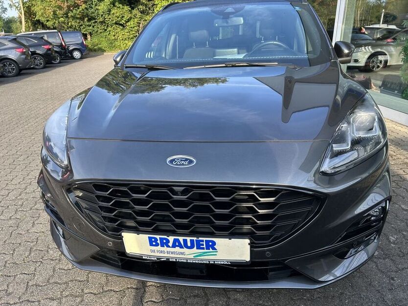 Kuga