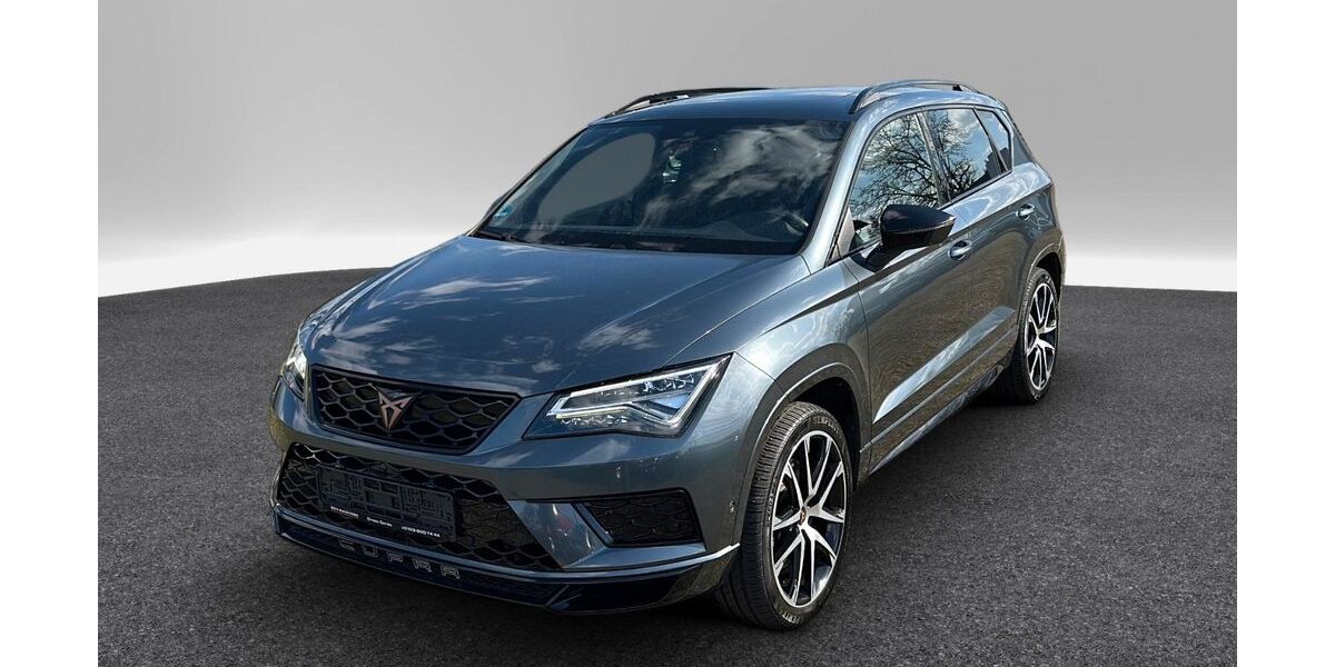 Cupra Ateca 45.000 km 25.990 &euro; Gross Gerau 64521