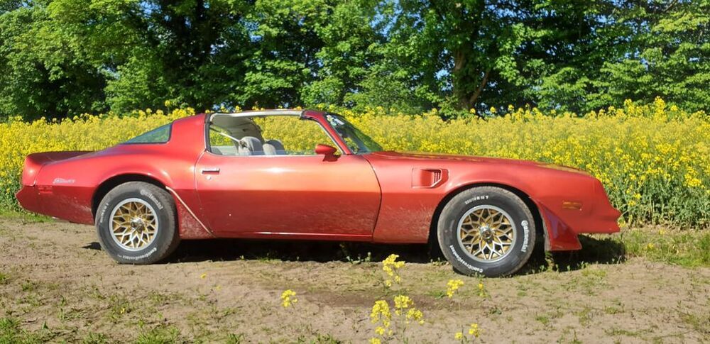 Trans Am