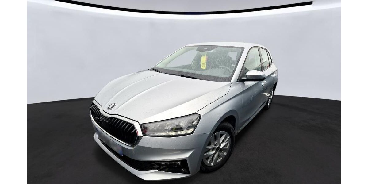 Skoda Fabia 45.350 km 13.544 &euro; Hagen 58091