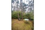 Bungalow Beetzsee - 1 Zimmer, 42 m&sup2;, 19.000&euro; | Angebot:27086762