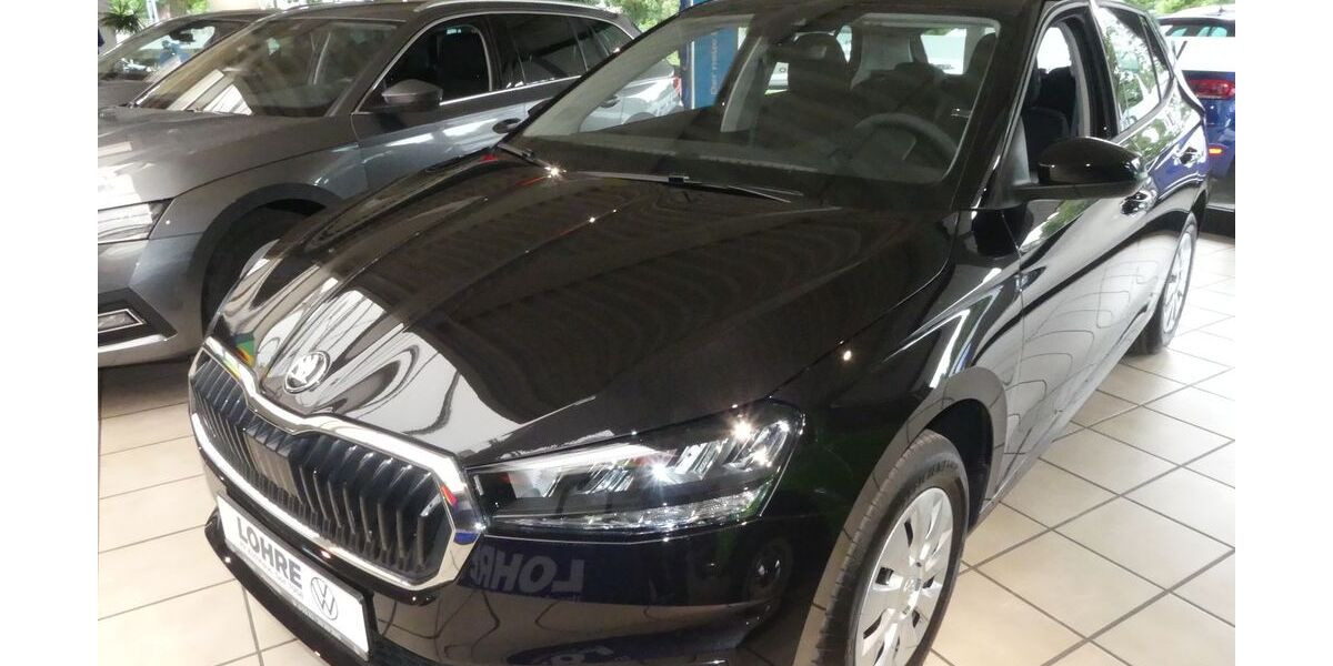 Skoda Fabia 4.500 km 18.490 &euro; Steinheim 32839