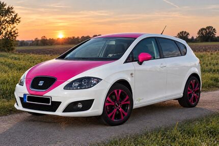 Seat Leon 107.960 km 6.500 &euro; Biere 39221